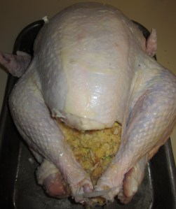 Stuffed Turkey ready for the oven
